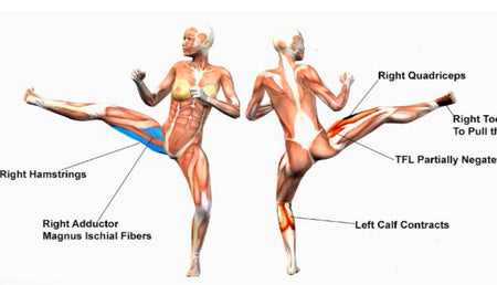 Anatomy of the Twist Kick