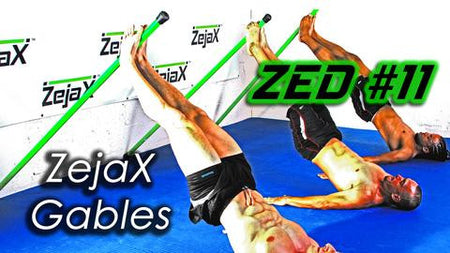 ZED #11 - ZejaX Gables
