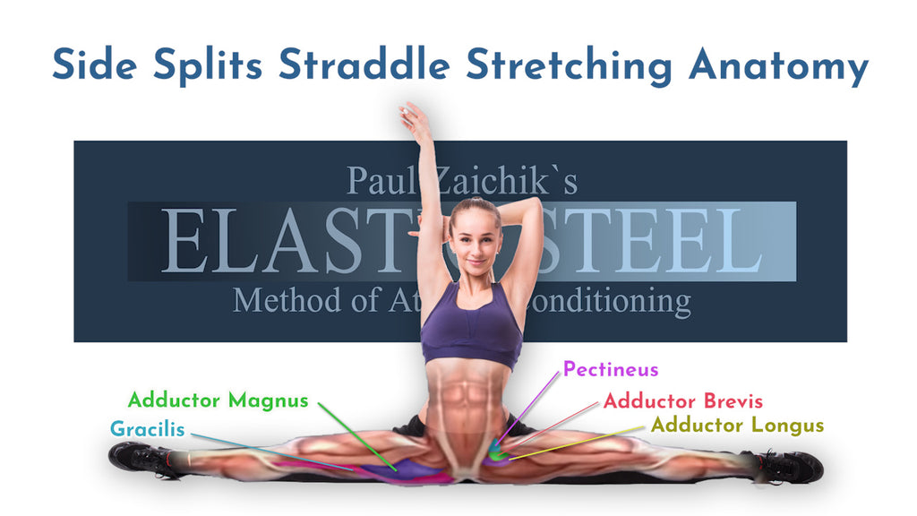 Side Split Anatomy — ElasticSteel