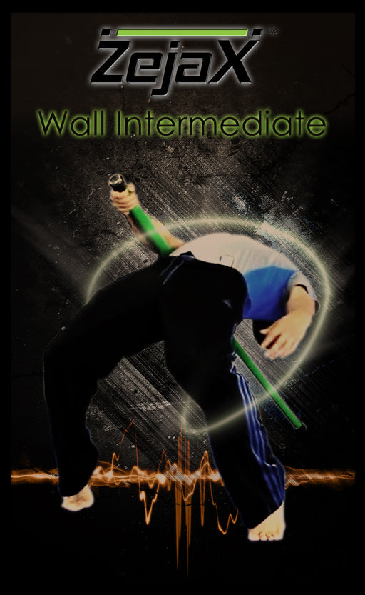 Zejax Wall Exercises Intermediate