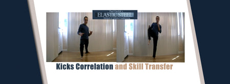 Kicks and Martial Arts Stance Correlation and Skill Transfer