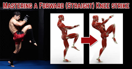 Mastering a Forward (Straight) Knee strike