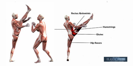 Anatomy Kinesiology of the Axe Kick