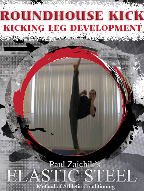 Roundhouse Kick Technique Instructional DVD